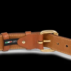 Petit ceinture